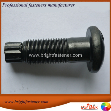 High Strength Torsional Shear Bolts(TC Bolts)